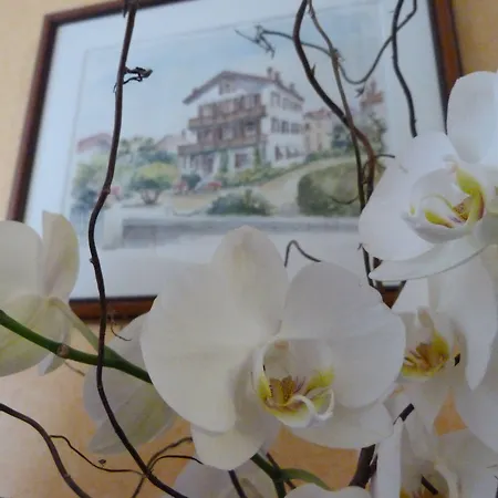 Bel Air سان جان دو لوز