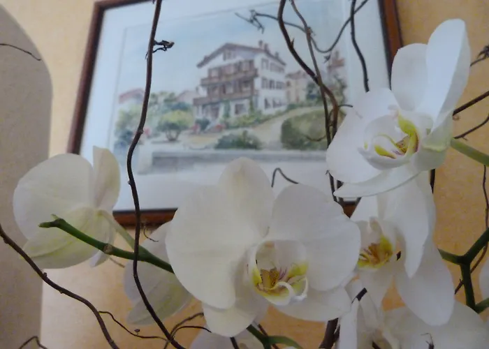 Bel Air San Juan de Luz